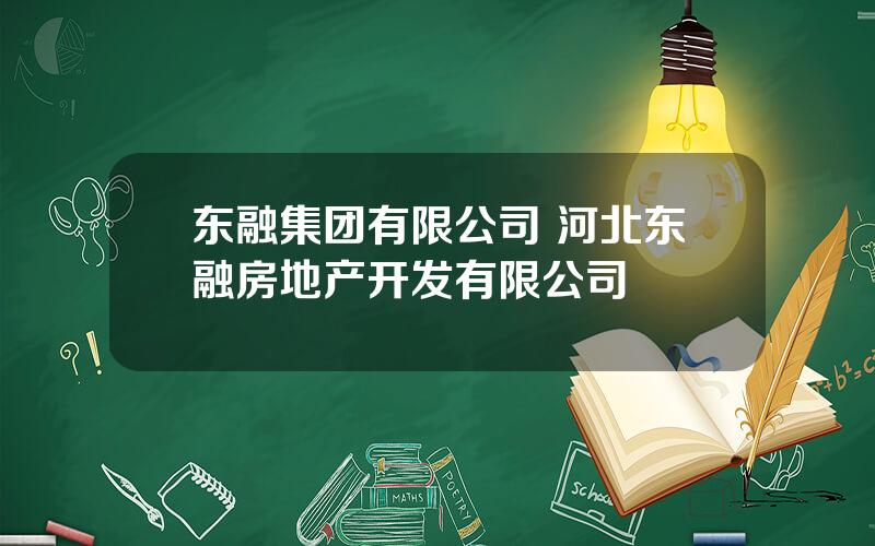 东融集团有限公司 河北东融房地产开发有限公司